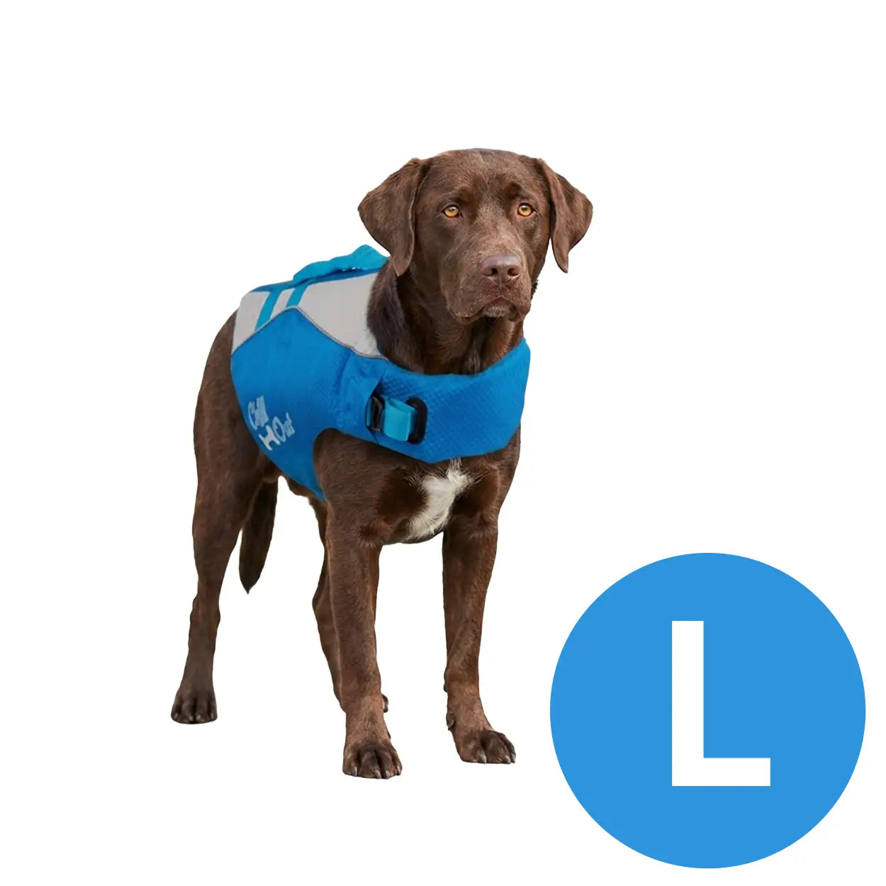 Schwimmweste für Hunde