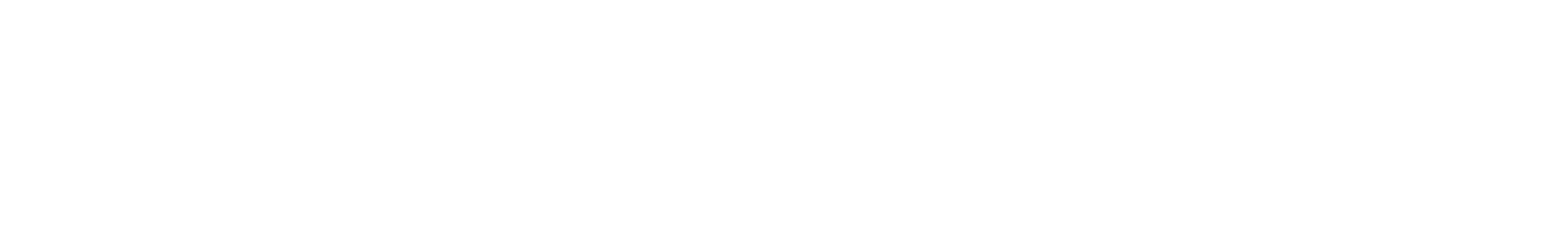 Firmenlogo emmi-pet