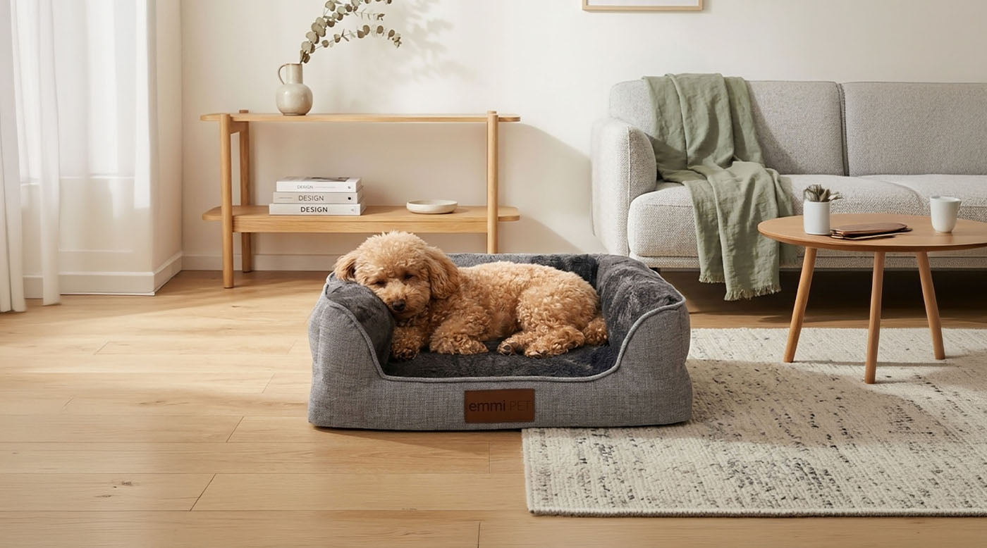 Orthopädisches Hundebett für junge Hunde sinnvoll?