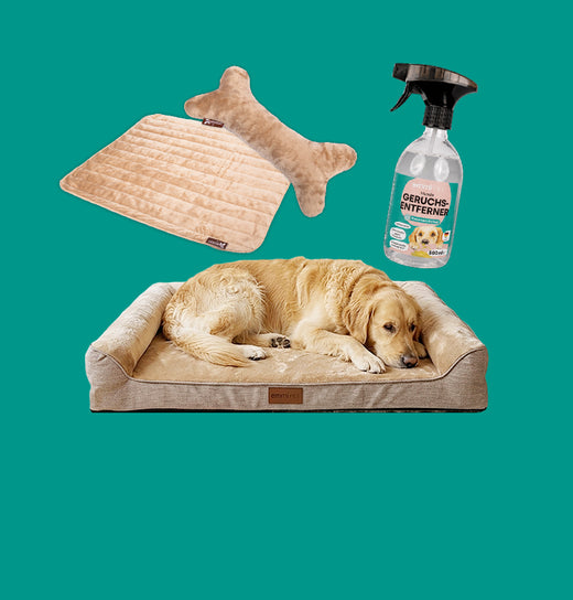 The dog beds