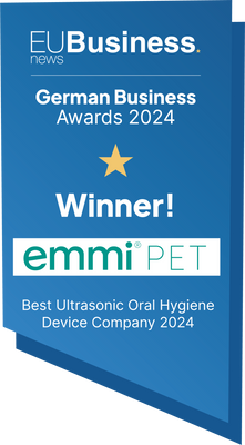 German Business Award