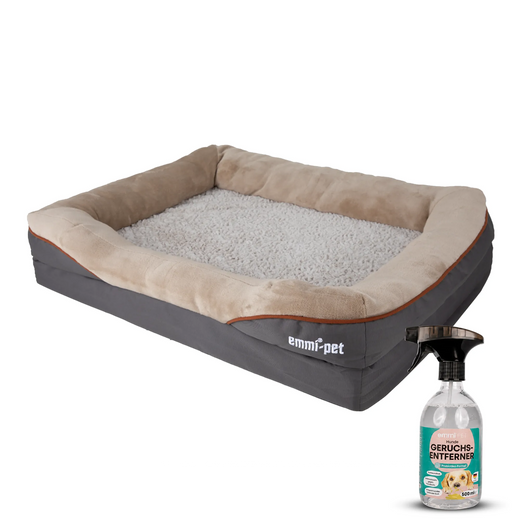 The dog beds