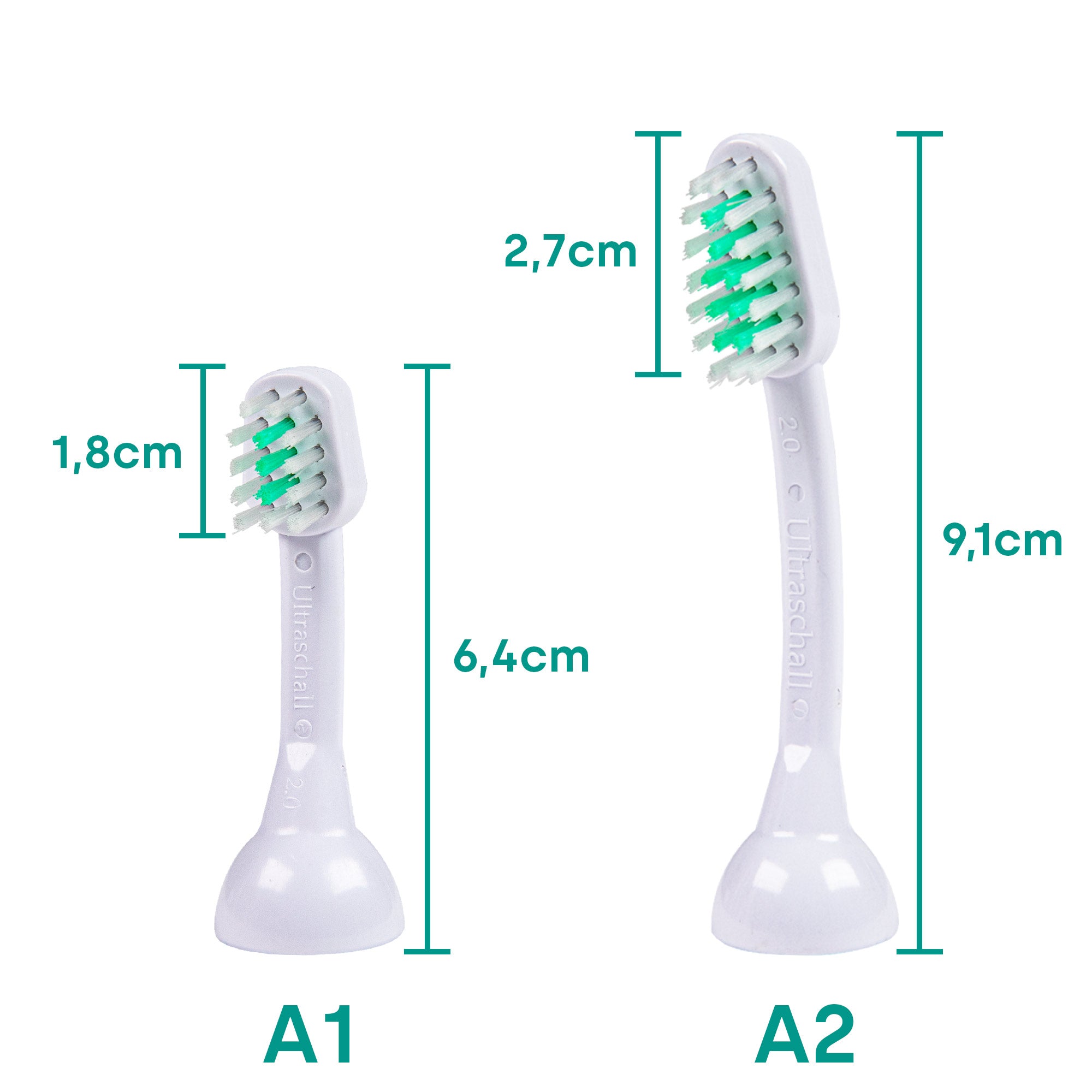 A2-M2 grandes têtes de brosse