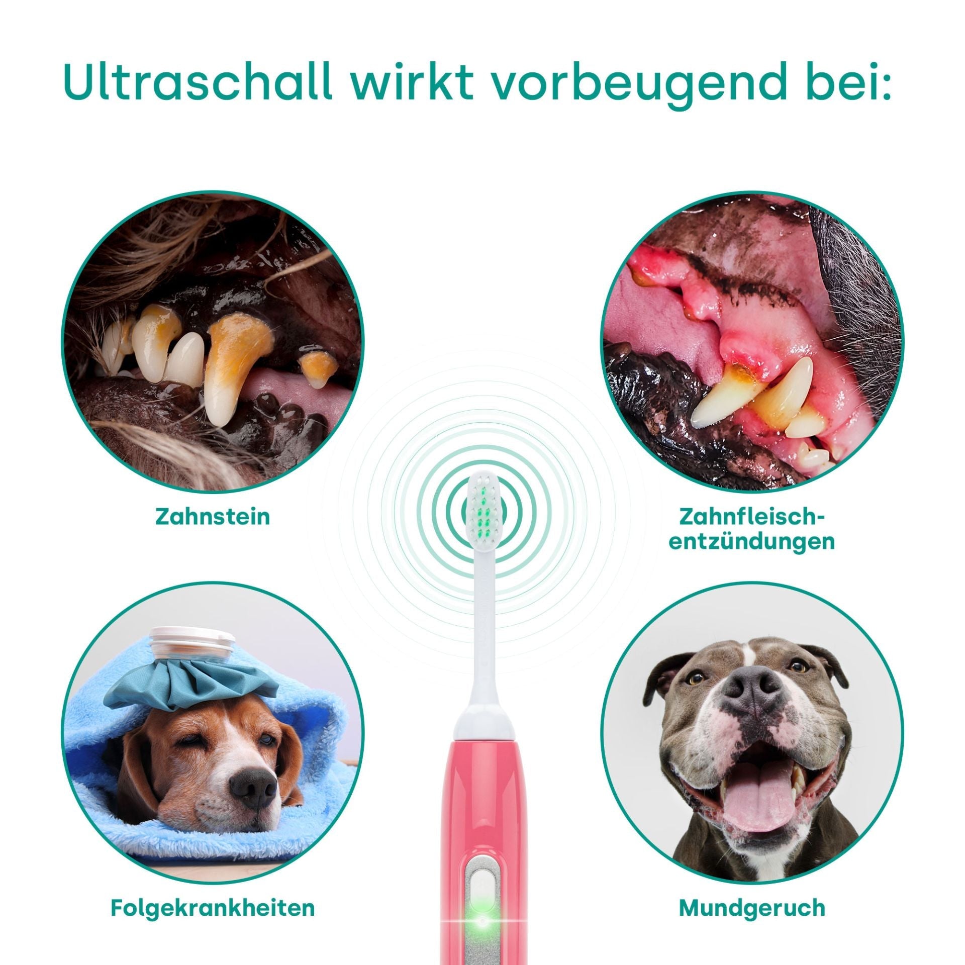 18261-Emmi-pet Basis Set 2.0 Limited Pink UK