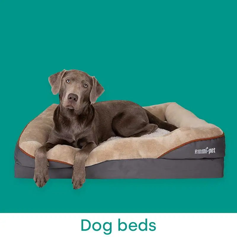 Dog beds