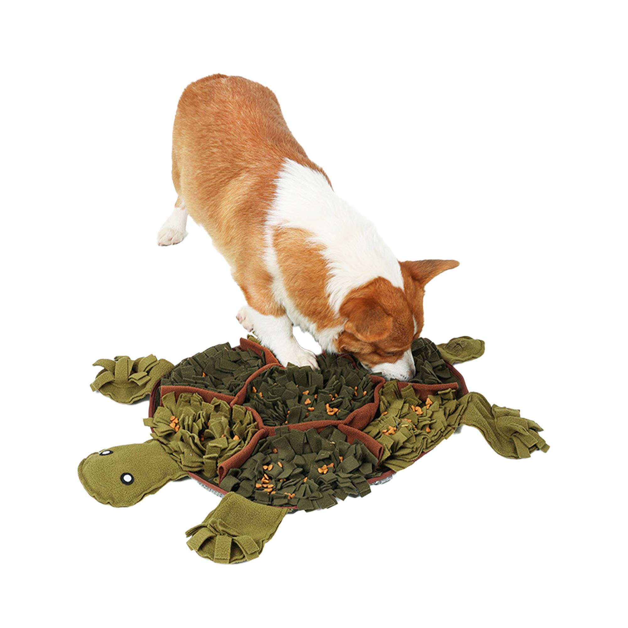 Sniffer carpet for dogs turtle